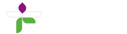 Briochi™ Bracelet